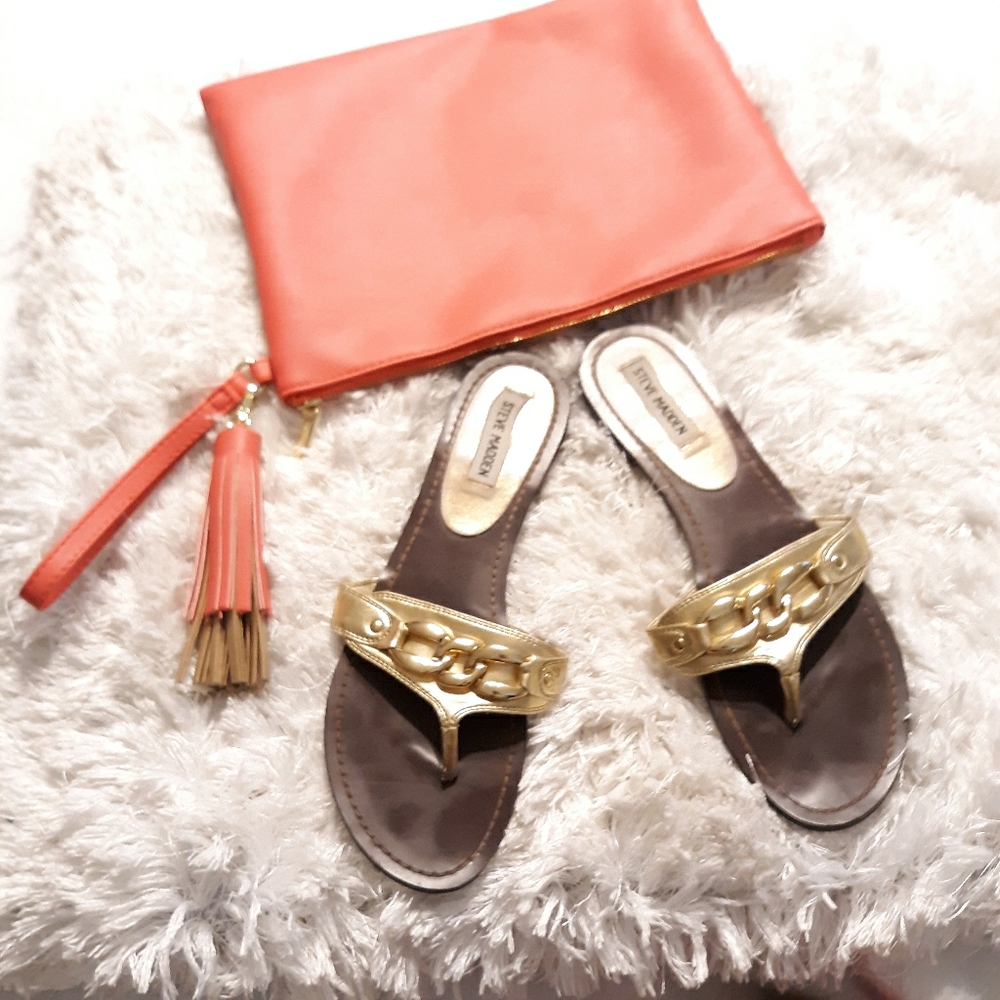 fashion makeup bag Nwt